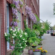 Foto Nijverh. ingang met bl.regen.jpeg